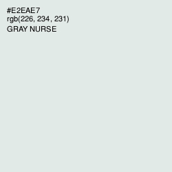 #E2EAE7 - Gray Nurse Color Image